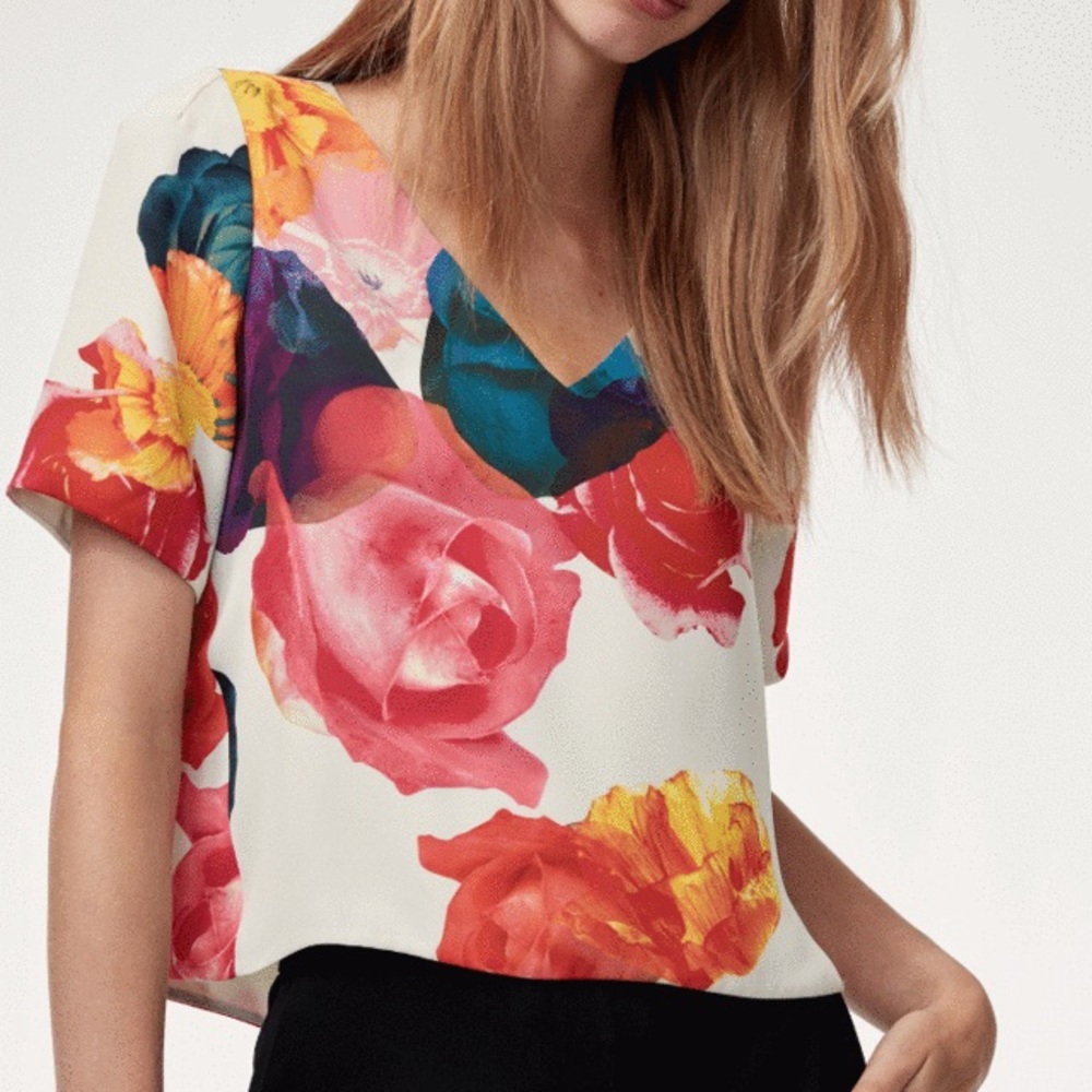 Babaton Randy Blouse